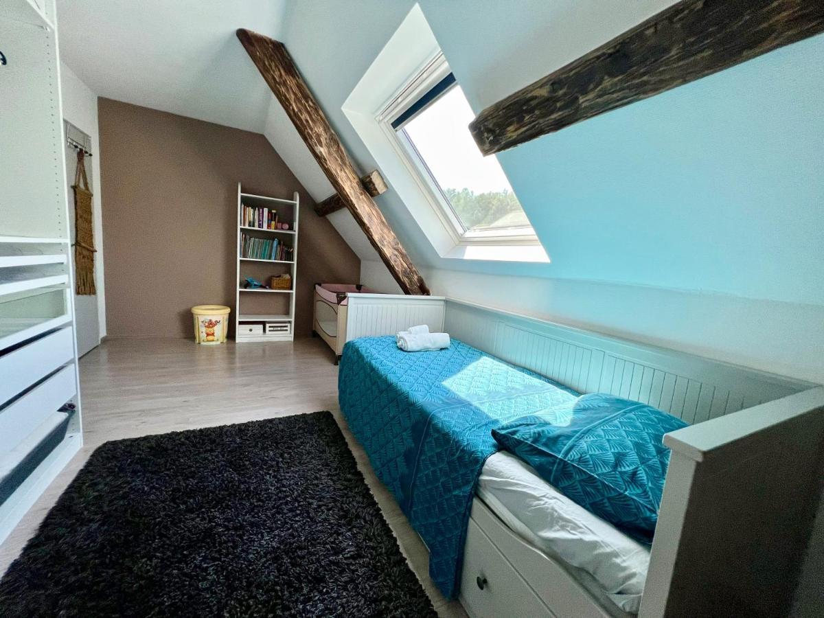Superbe Appartement Duplex A Kaysersberg En Alsace Zewnętrze zdjęcie