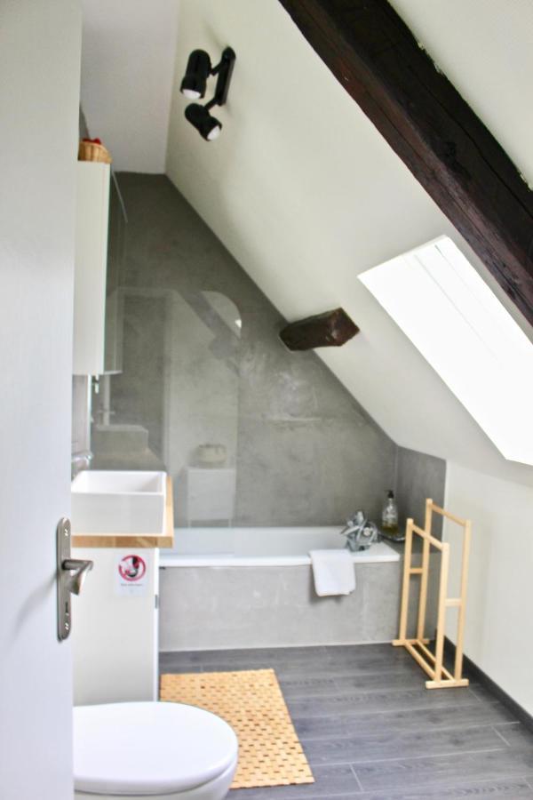 Superbe Appartement Duplex A Kaysersberg En Alsace Zewnętrze zdjęcie